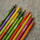 Recycled seed paper pencil
